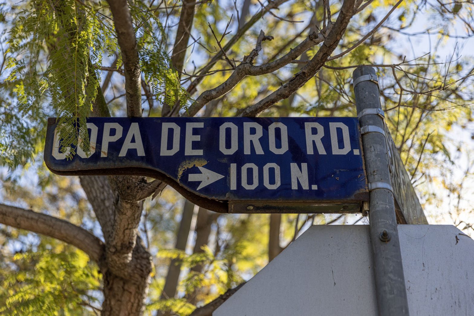 BelAirAssoc Gallery 9