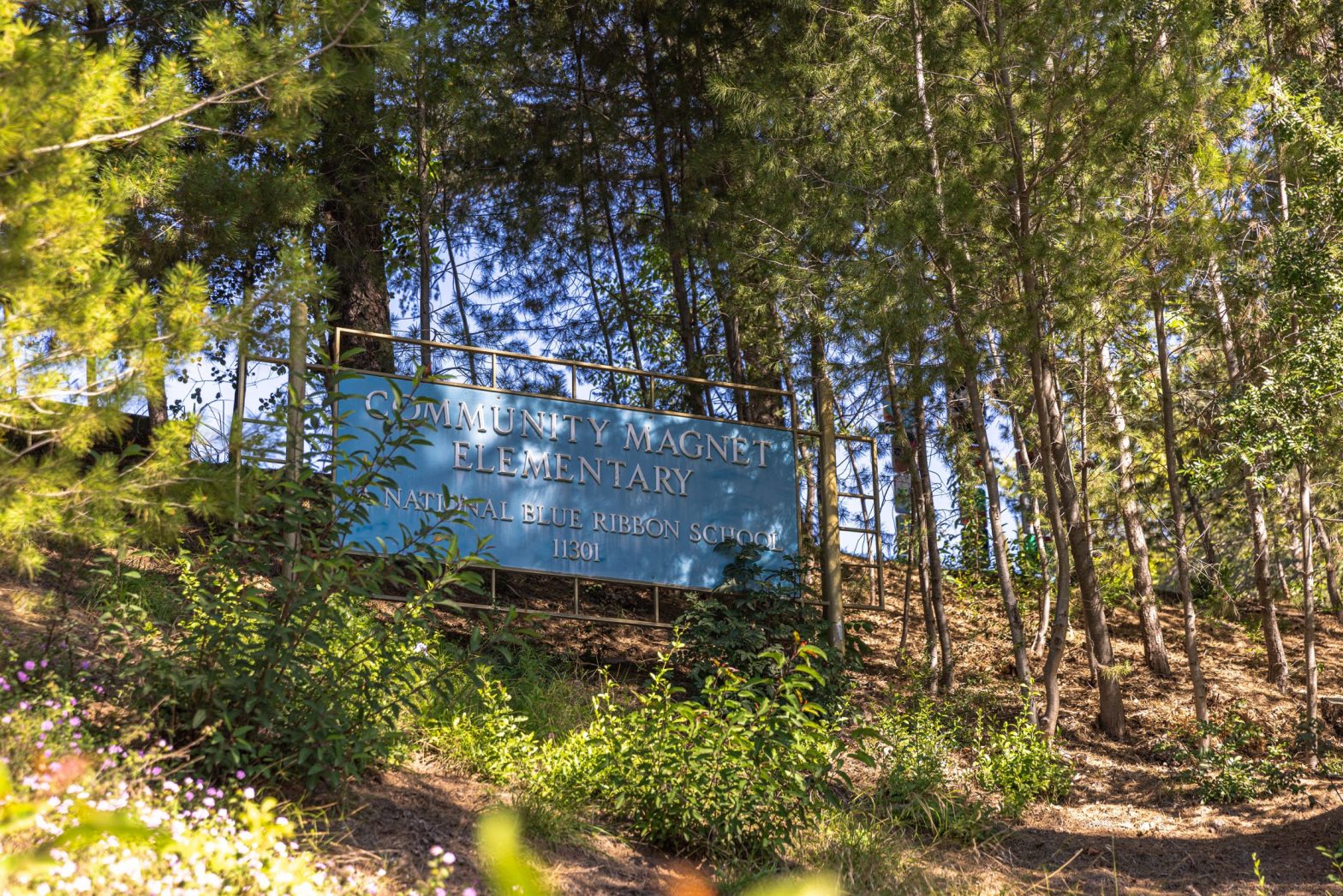 BelAirAssoc Gallery 4